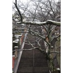 西國寺参道の雪景色