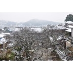 西國寺から見る雪景色