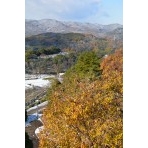 千光寺公園から見る尾道の雪景色