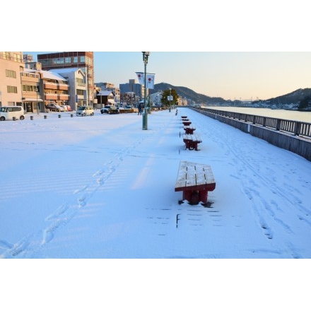 尾道駅前緑地帯の雪景色