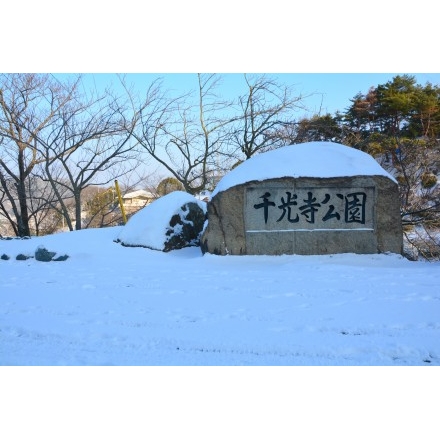 雪の千光寺公園