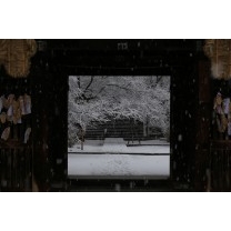 雪の仁王門