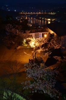 夜桜と尾道水道