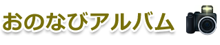 おのなびアルバム