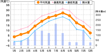 1年の気候