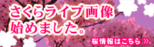 さくらライブ画像はじめました