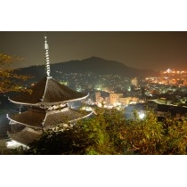 天寧寺三重塔の夜景