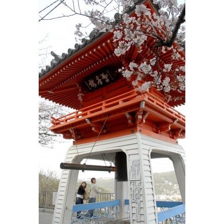 千光寺の鐘楼に咲く桜