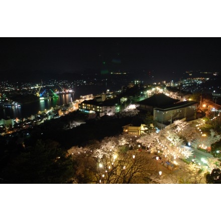 千光寺公園の夜桜