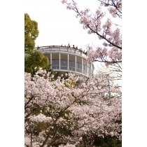 春の千光寺公園頂上展望台