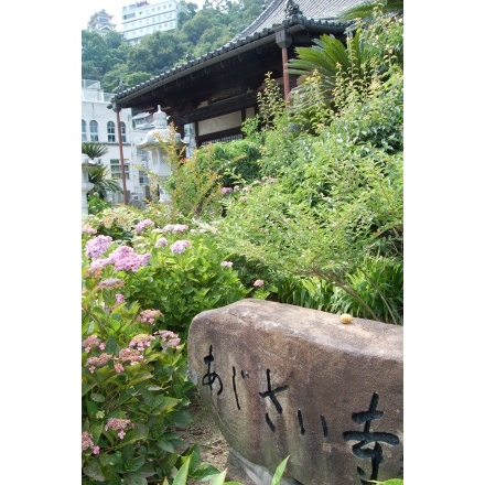 持光寺「あじさい寺」の石碑