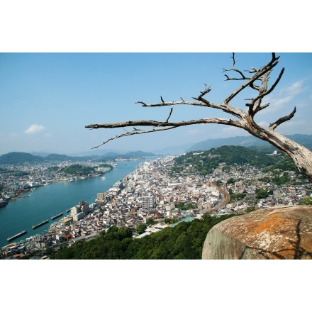 浄土寺山から望む尾道市街地