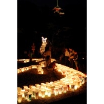 2008尾道灯りまつり（西國寺）