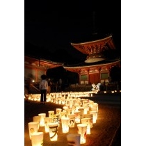 2008尾道灯りまつり（浄土寺）