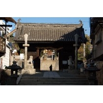 亀山八幡宮（久保八幡神社）の山門と参道