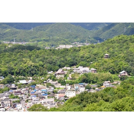 浄土寺山・不動岩展望台から見る西國寺全景