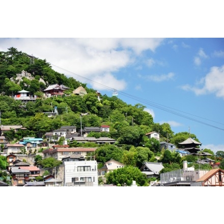 向島・兼吉の丘から見た千光寺山