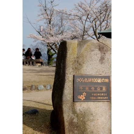 No.832 「さくら名所100選の地」碑