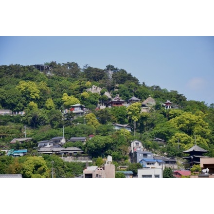 新緑に包まれた千光寺一帯