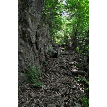 観音山の登山道