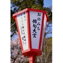 第4回おのみち俳句まつり「おのみち俳句大賞」作品
