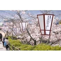 おのみち俳句まつり