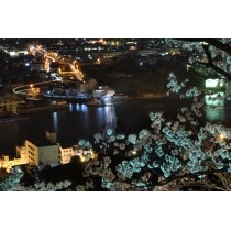 千光寺公園から見た夜桜と渡船