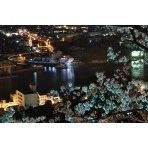 千光寺公園から見た夜桜と渡船