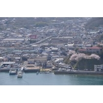 千光寺公園から見た春の向島