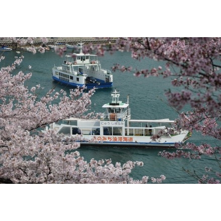 桜の中を行き交う渡船