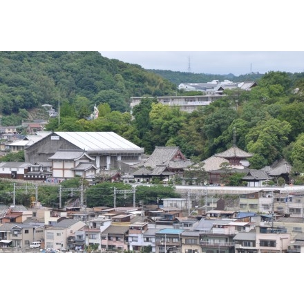 向島から見た浄土寺