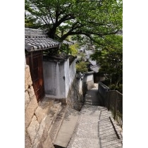 天寧寺三重塔の付近の路地