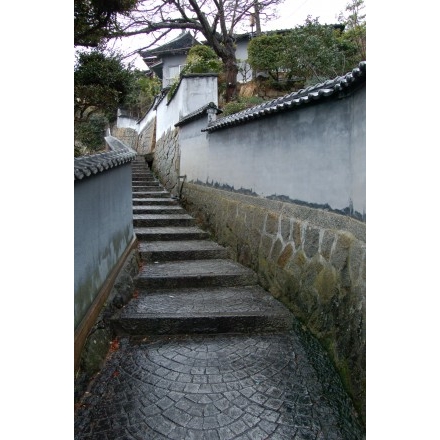 雨に濡れた古寺めぐりコース