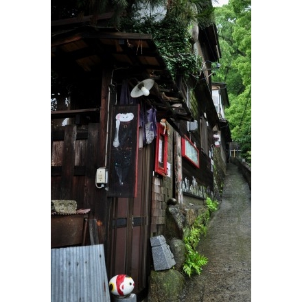 雨の猫の細道