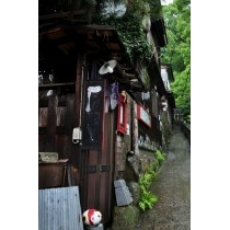 雨の猫の細道