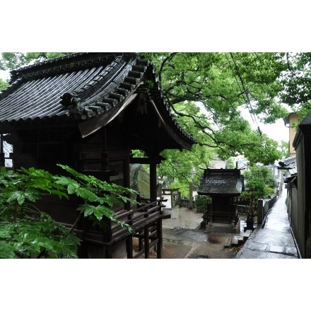 雨の艮神社