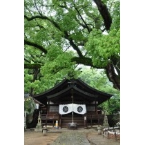 雨の艮神社
