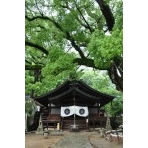 雨の艮神社