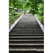 雨の千光寺参道
