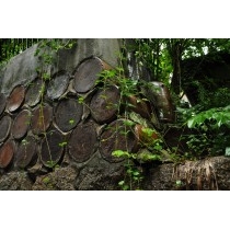 雨の酢瓶の壁