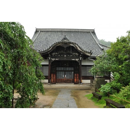 雨の天寧寺
