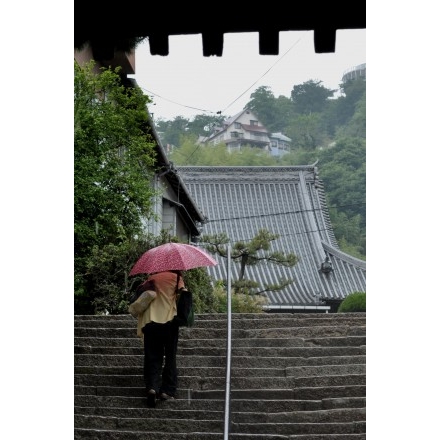 雨の光明寺