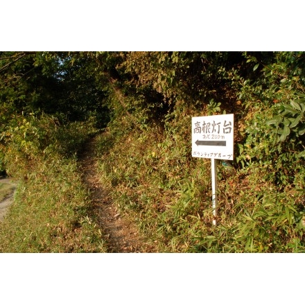 高根島灯台への道