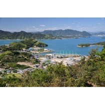 白滝山から見る因島重井町一帯