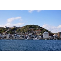 向島・兼吉から見た秋の千光寺山