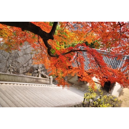 御袖天満宮の紅葉