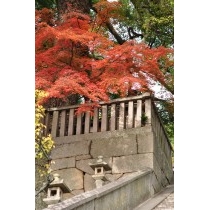 御袖天満宮の紅葉