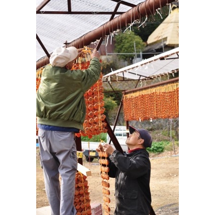 御調町の串柿作り