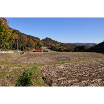 岩倉の水から見た風景