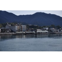 高根島から見た瀬戸田港一帯